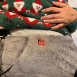 CozyCycle® Comforter Menstrual heating pad photo review